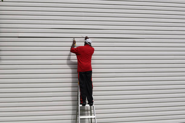 Best Custom Trim and Detailing for Siding  in Dublin, PA